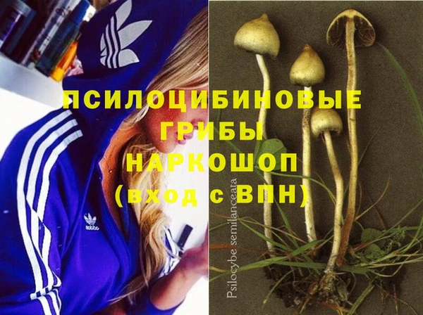 ECSTASY Балабаново