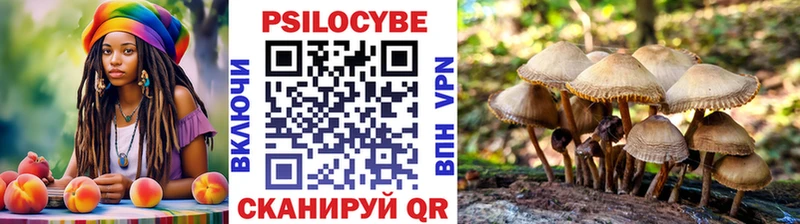 Псилоцибиновые грибы прущие грибы  darknet наркотические препараты  Лангепас  закладки 